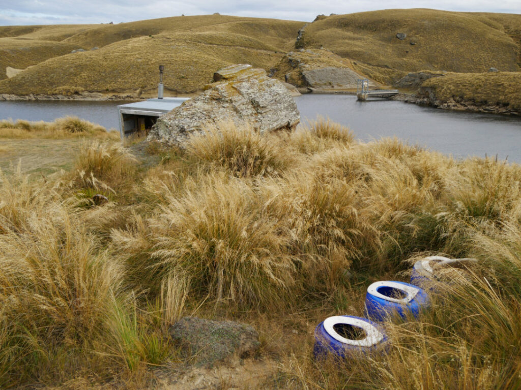 3 toilets in New Zealand high country tussock