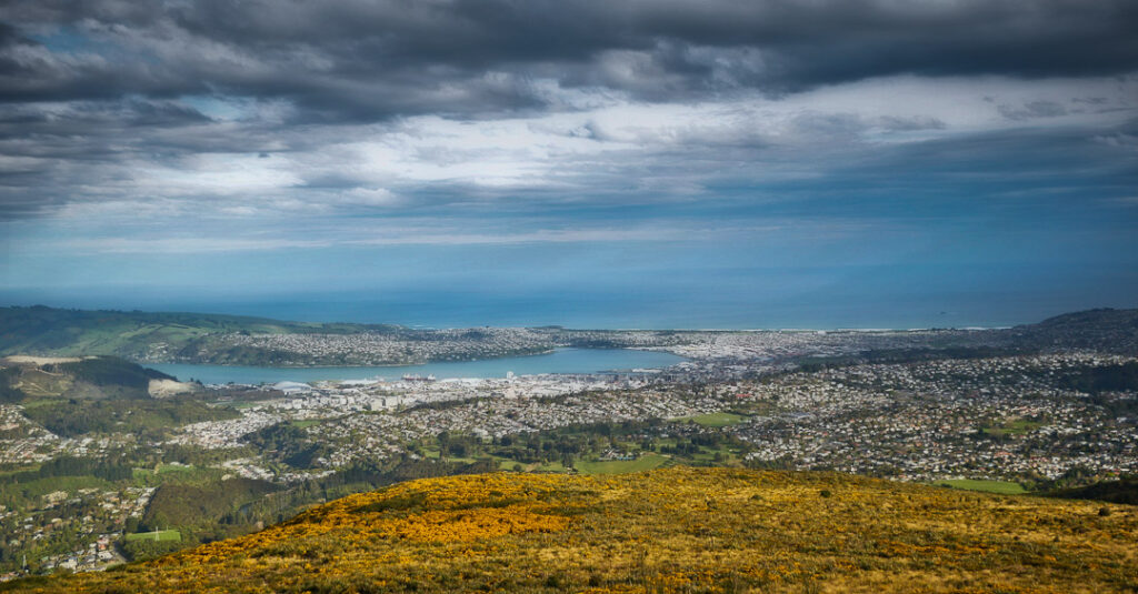 Dunedin from Flagstaff
