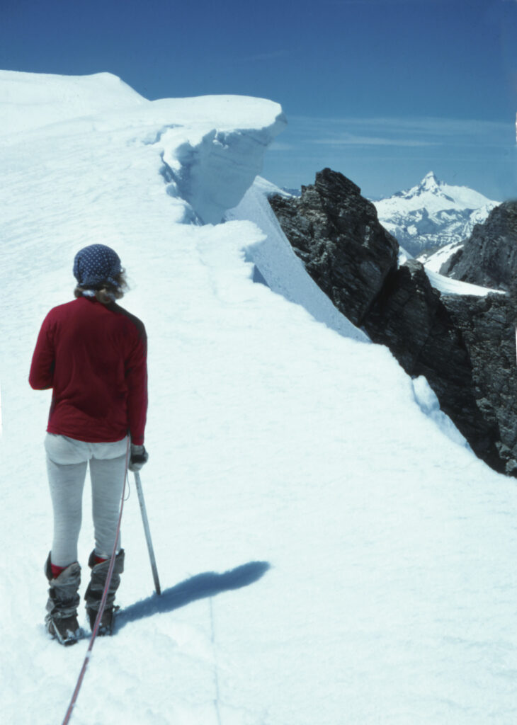 Mt Aspiring from Climax on the Olivine Ice Plateau, New Zealand