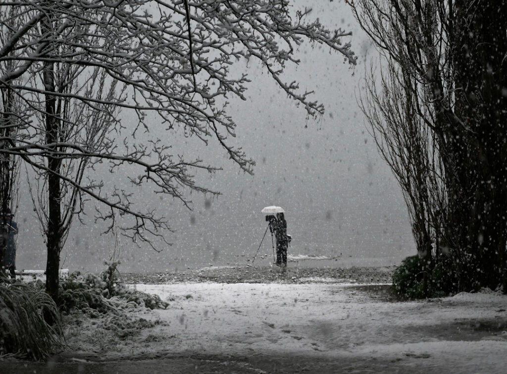 That Wanaka Tree. in a snow storm with a photographer under an umbrella
