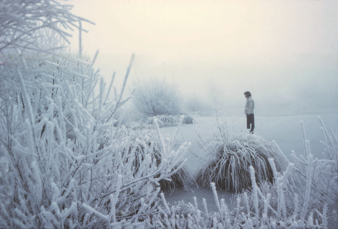 Chapter 11 –  Rewilding Myself